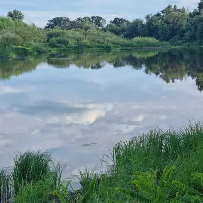 Пірнове