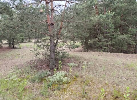 10 соток ділянка під будинок або дачу