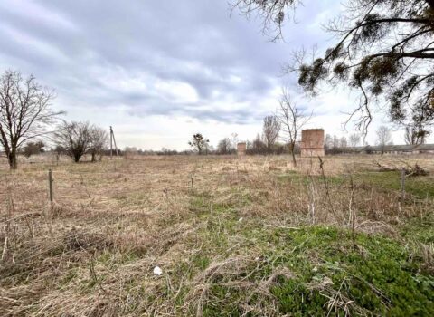 Продаж земельної ділянки в Козаровичах