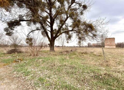 Продаж земельної ділянки в Козаровичах