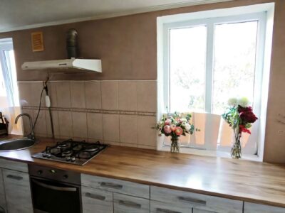 Продаж будинку у Вищій Дубечні — 103 м², 15 соток землі, газ, груба, свердловина та погріб